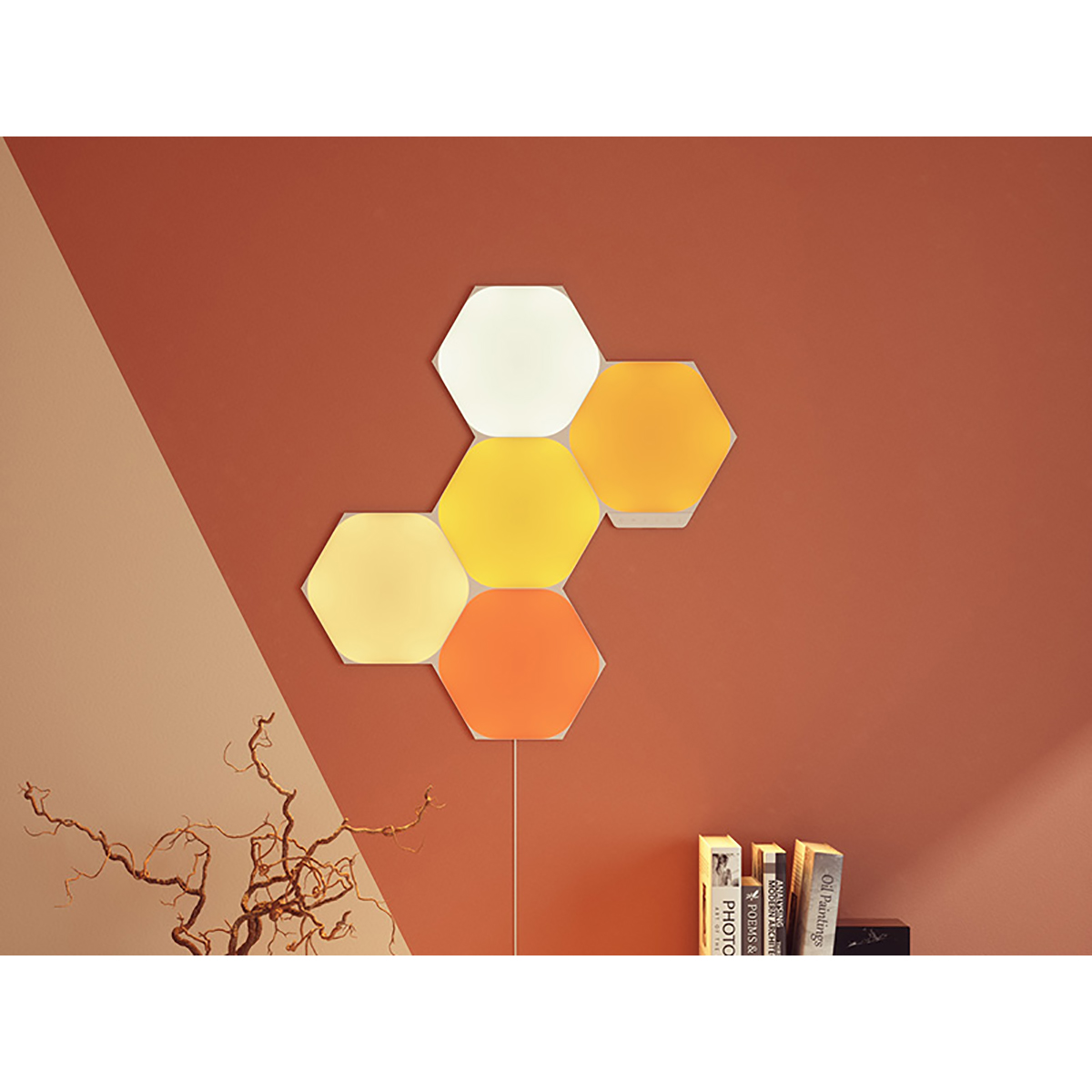 light hexagon panel